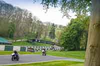 cadwell-no-limits-trackday;cadwell-park;cadwell-park-photographs;cadwell-trackday-photographs;enduro-digital-images;event-digital-images;eventdigitalimages;no-limits-trackdays;peter-wileman-photography;racing-digital-images;trackday-digital-images;trackday-photos